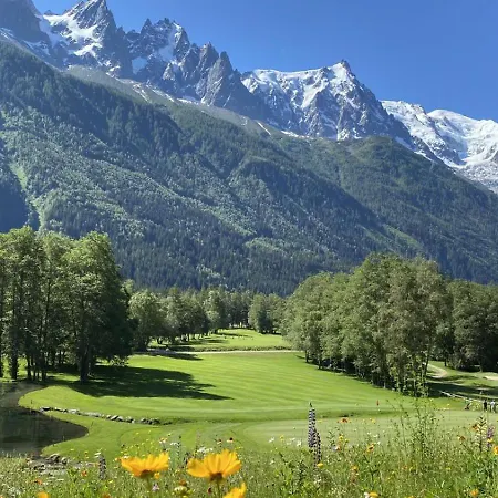Morgane Et Lyret - Mont-blanc Appartement Chamonix